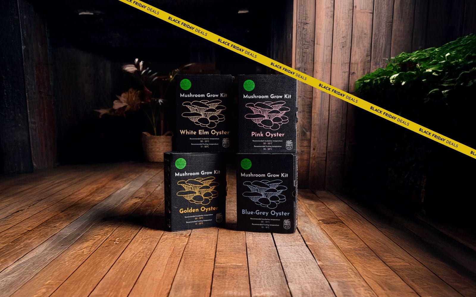 Top 3 mushroom growing kits: Bags, logs, and beds explained