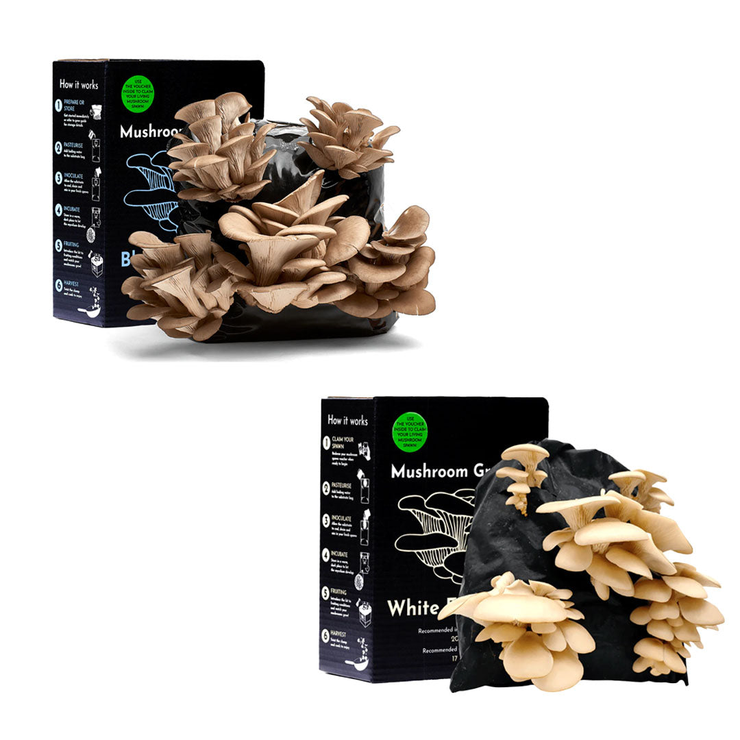 Bundle Kits