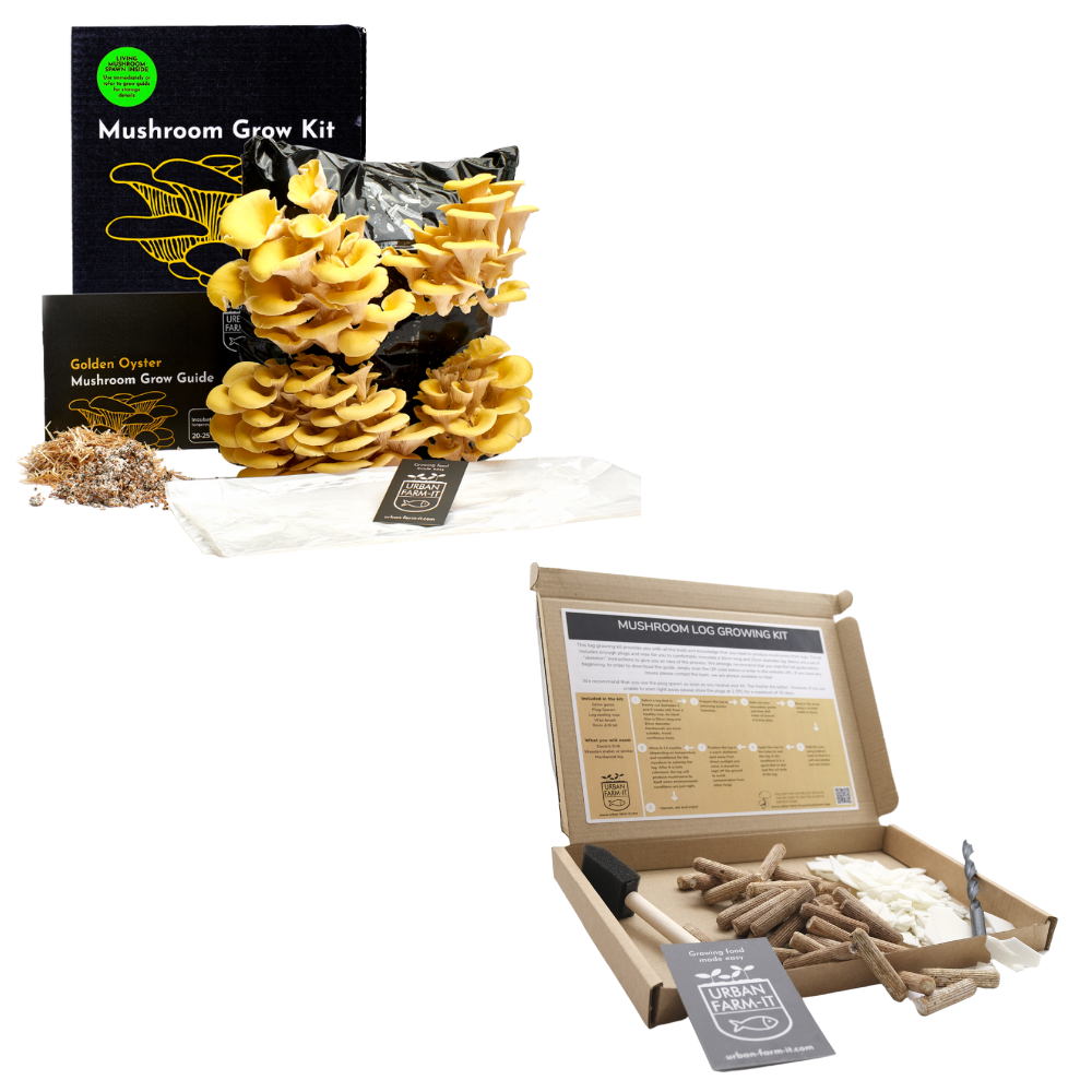 Mushroom Kit Bundle - Choose Any 2 & Save