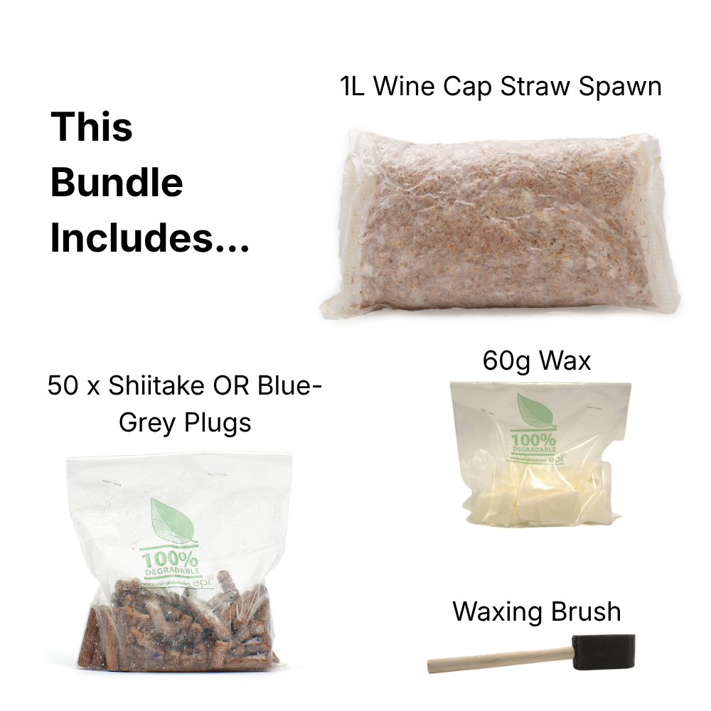 Father's Day Bundle
