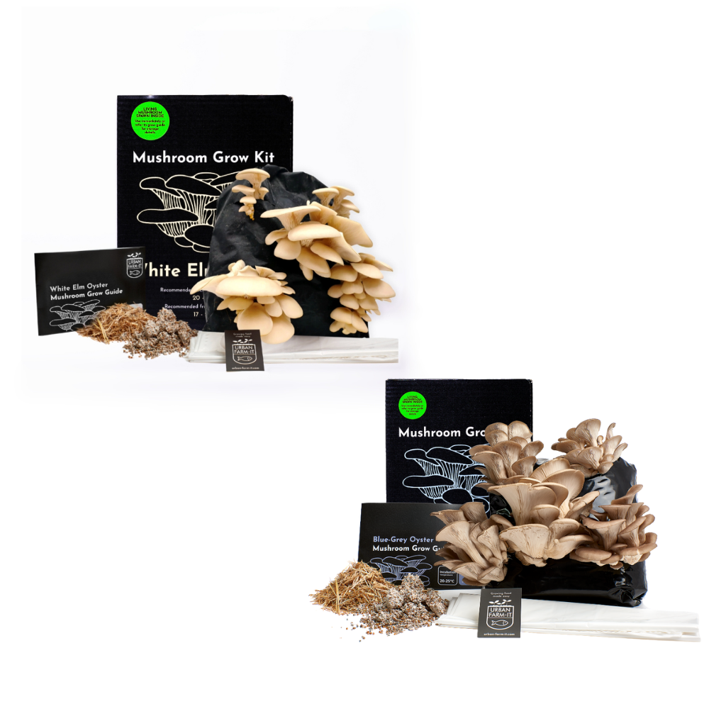 Mushroom Kit Bundle - Choose Any 2 & Save