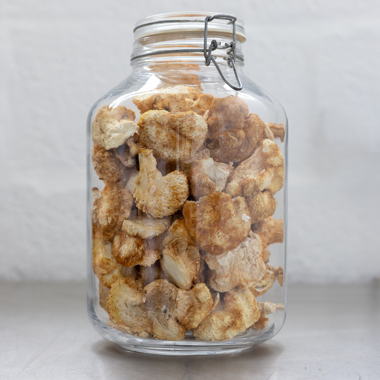 Dried Lion's Mane B2B