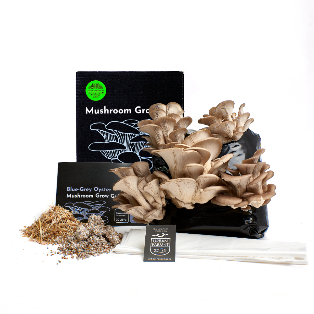 Mushroom Kit Bundle - Choose Any 2 & Save