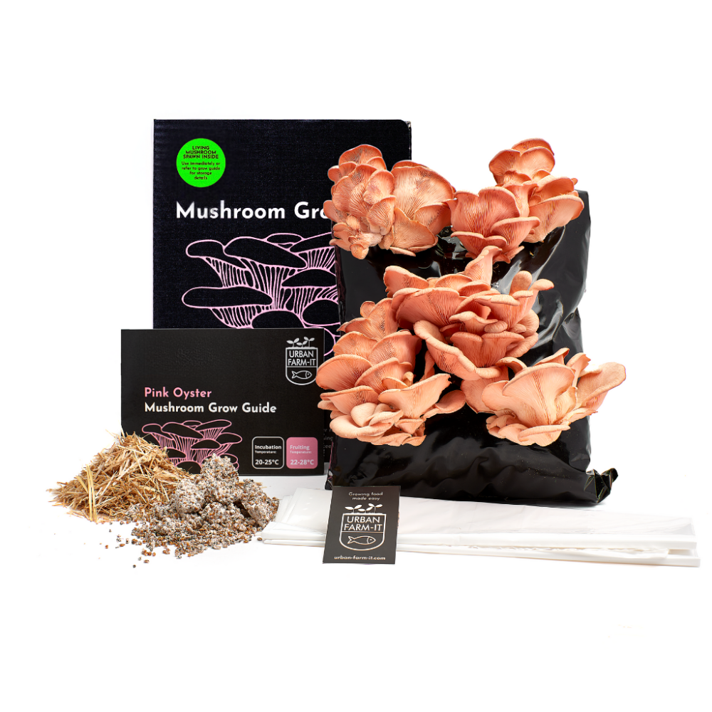 Mushroom Kit Bundle - Choose Any 2 & Save