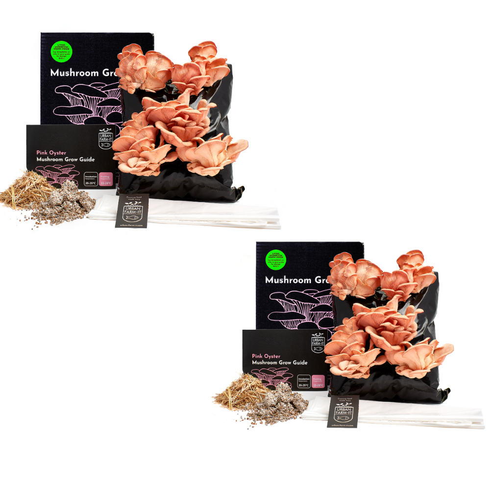 Mushroom Kit Bundle - Choose Any 2 & Save