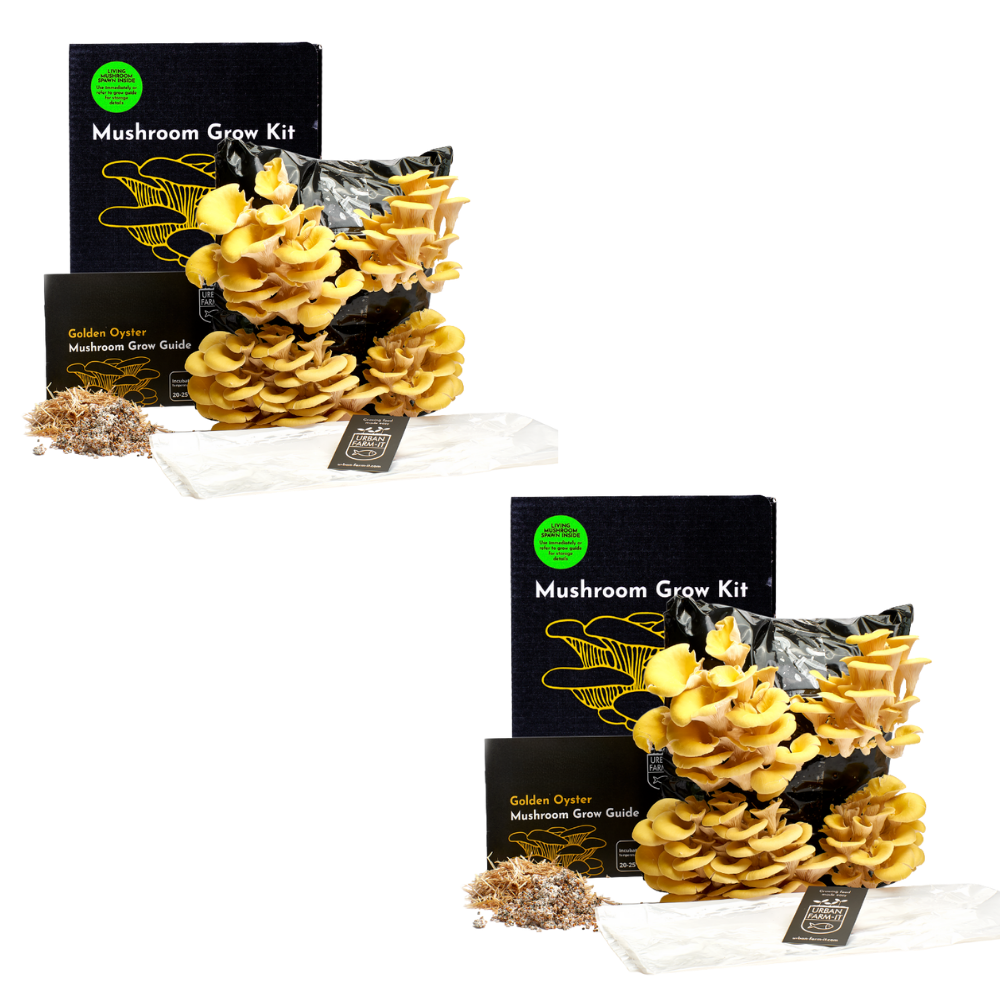 Mushroom Kit Bundle - Choose Any 2 & Save