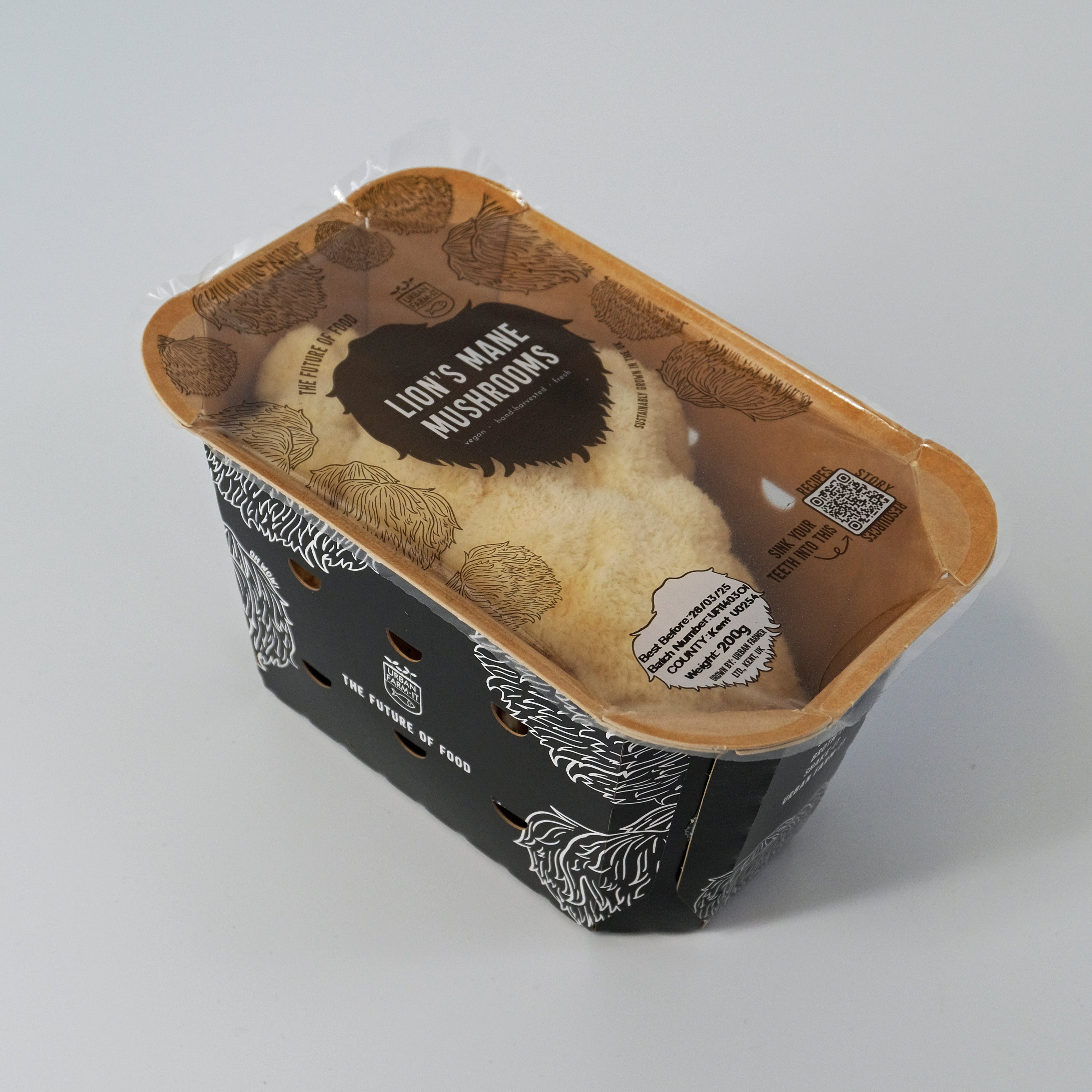 UFI Lion's Mane Punnet