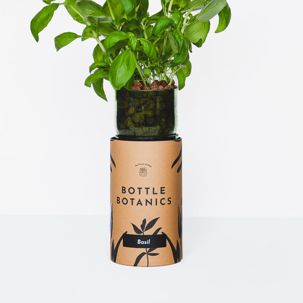 Bottle Botanics
