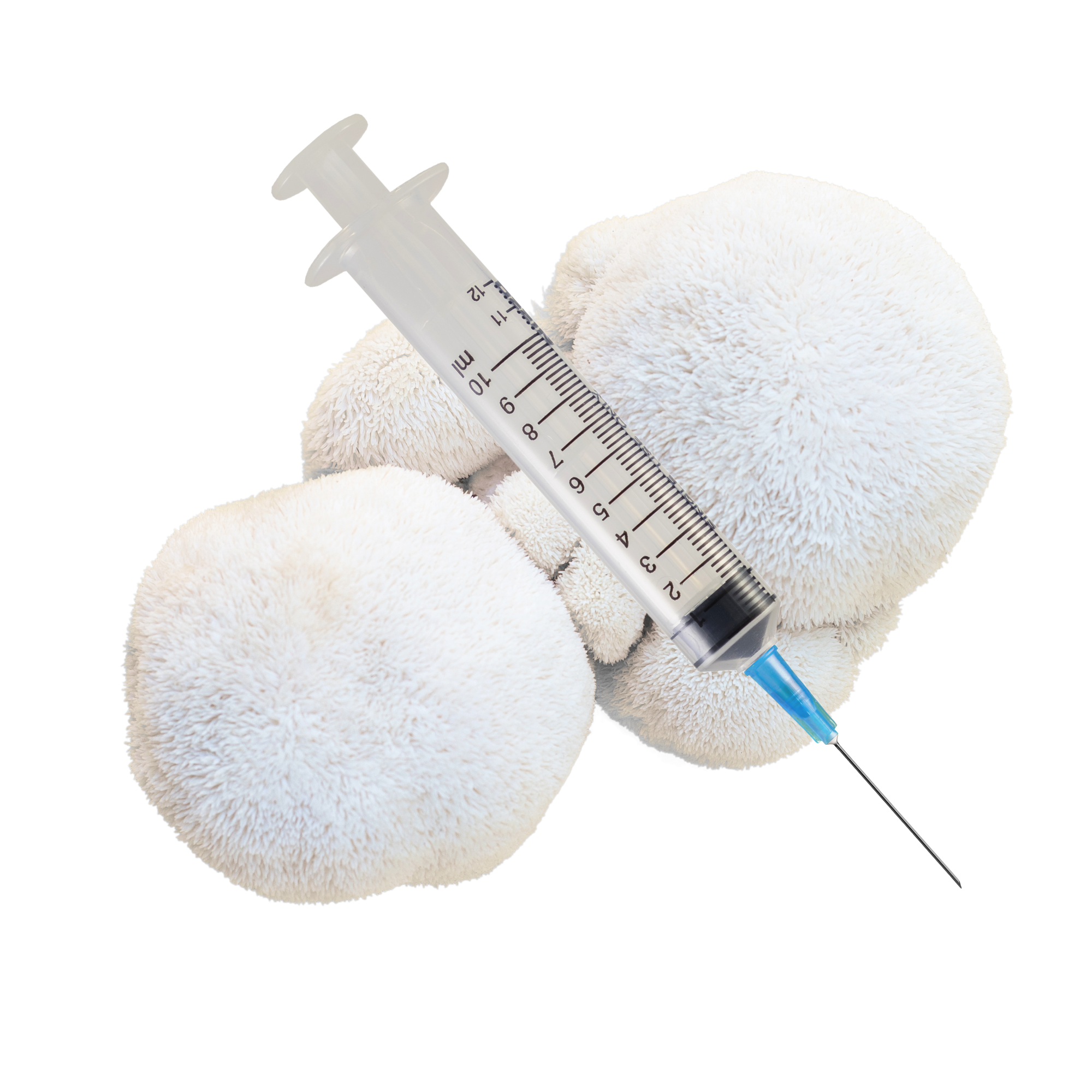 Lion's Mane Mushroom Liquid Culture