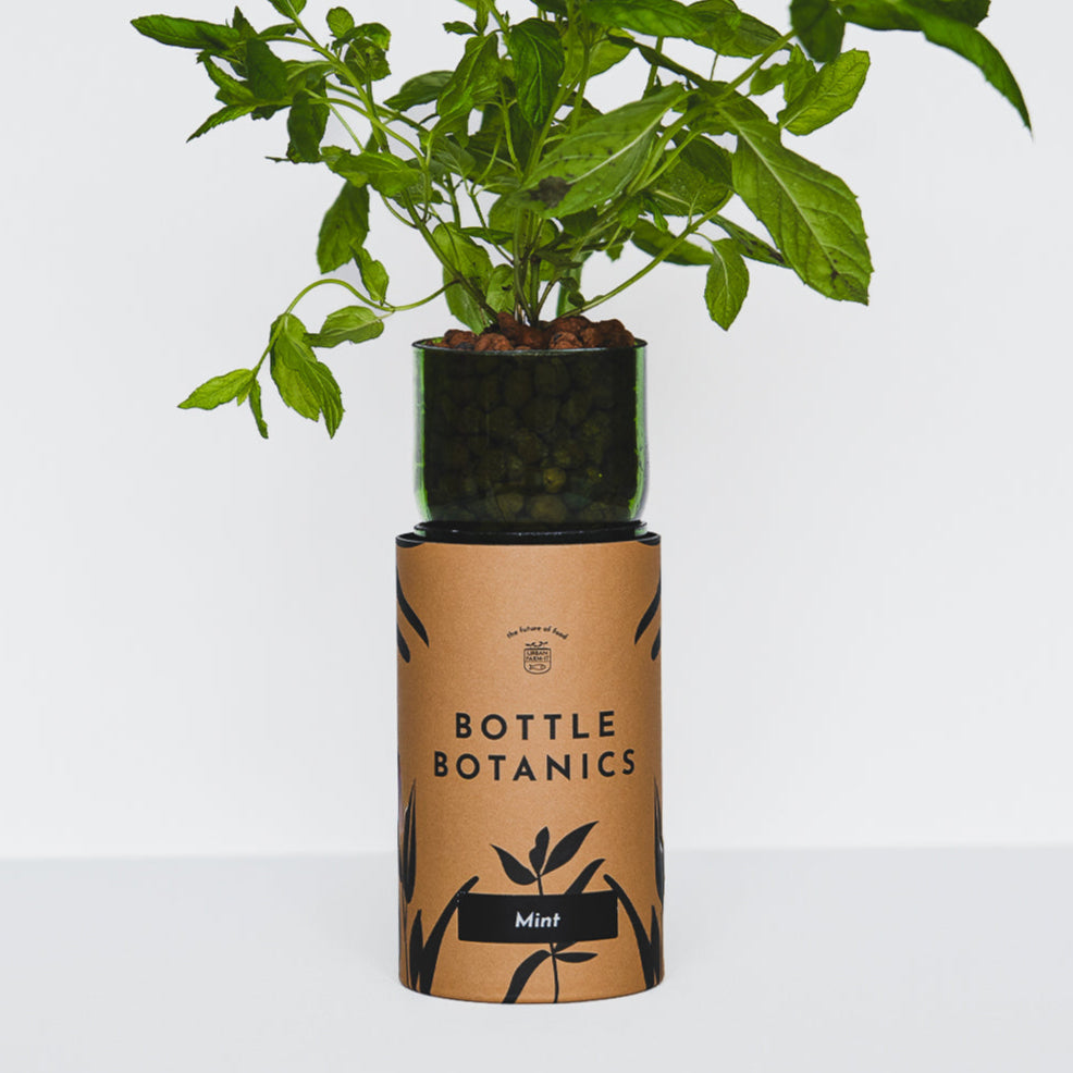 Bottle Botanics