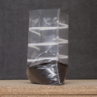 Spawn bags – Without bottom gusset
