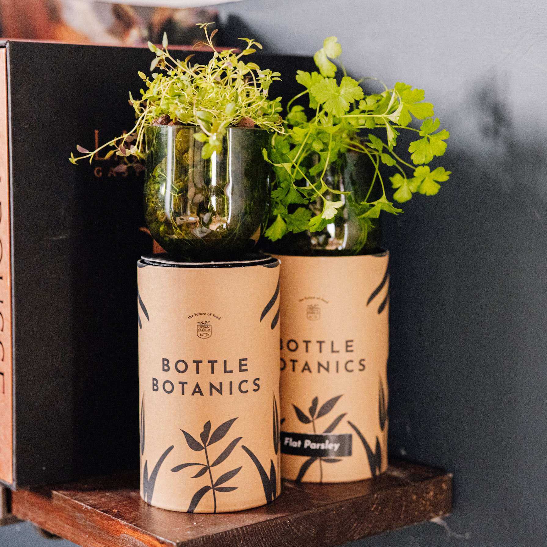 Bottle Botanics