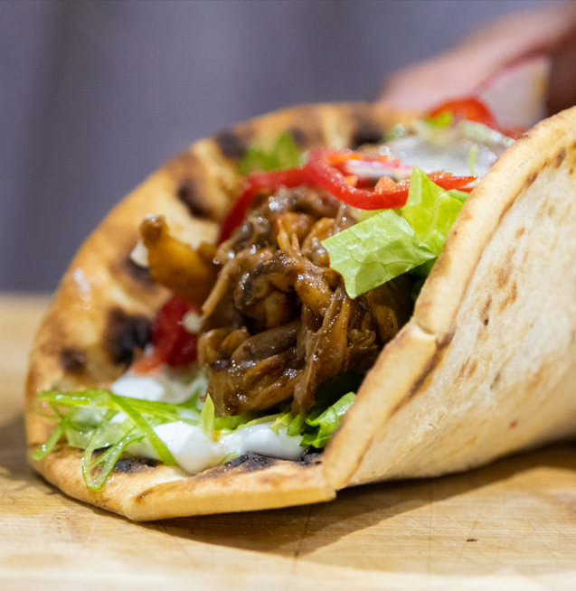 Oyster Mushroom Growing Kit