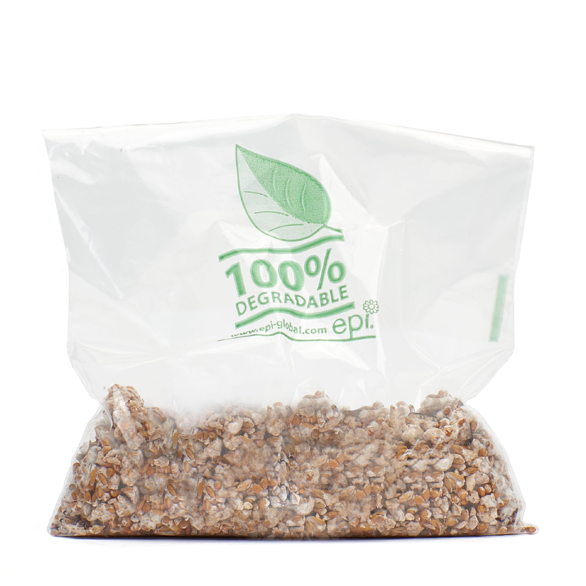 Blue-Grey Oyster Mushroom Grain Spawn