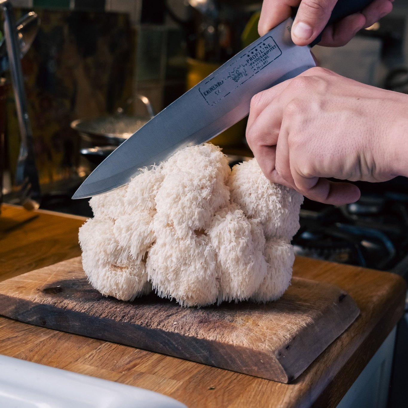 3 delicious fresh lion's mane recipes that are easy to master