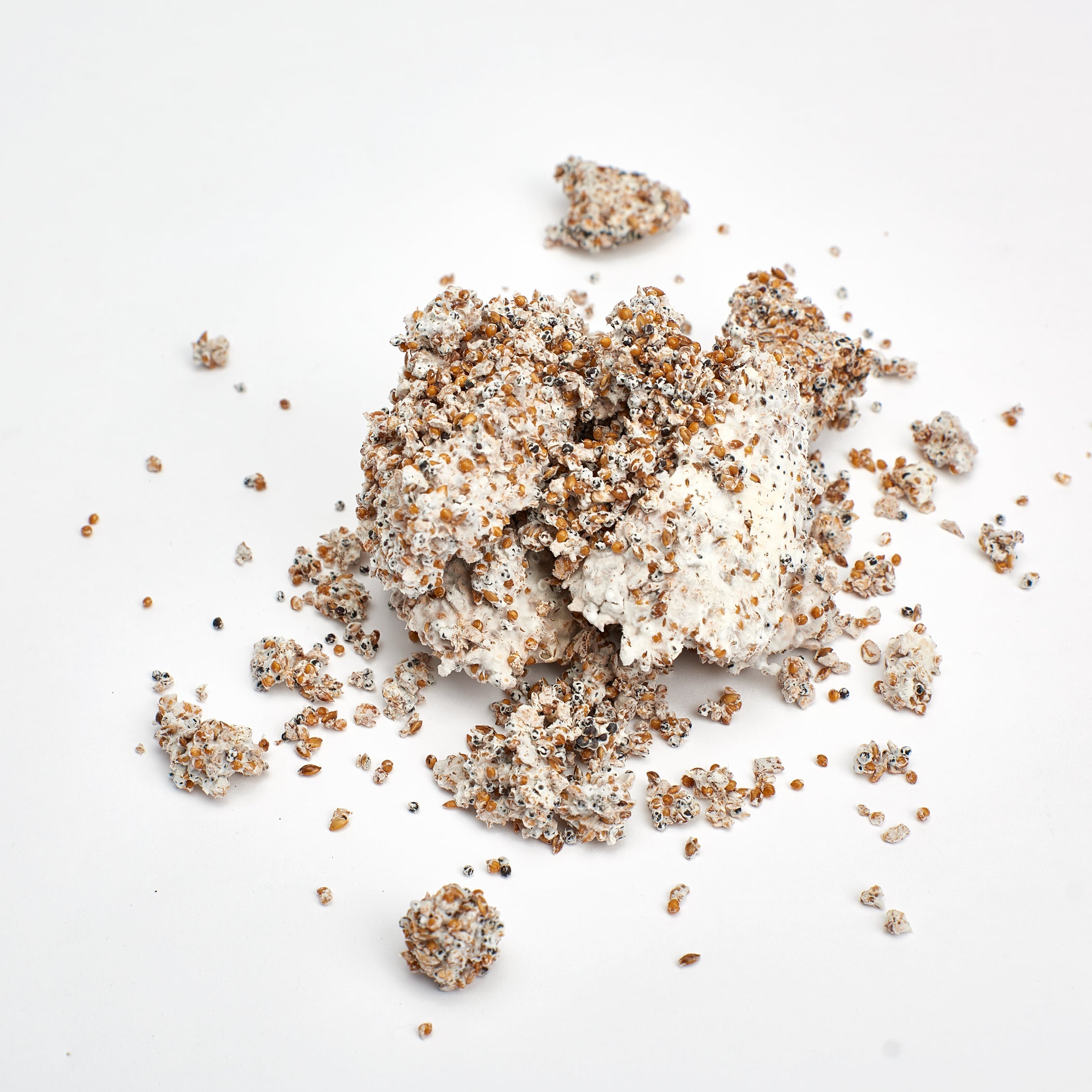 A bag of mushroom grain spawn