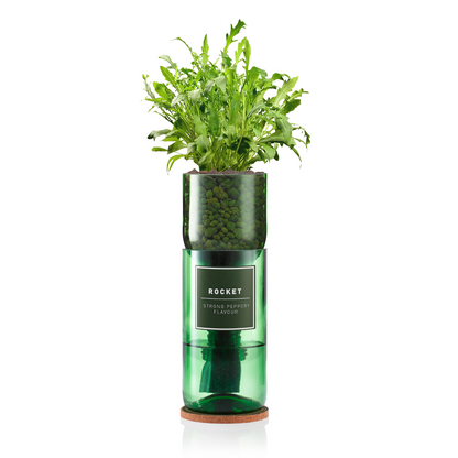 Hydro-Herb Rocket Kit