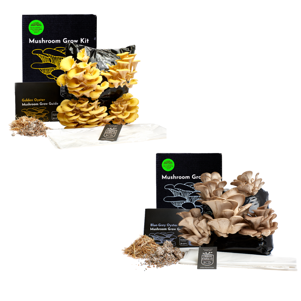 Mushroom Kit Bundle - Choose Any 2 & Save