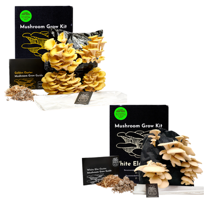 Mushroom Kit Bundle - Choose Any 2 & Save
