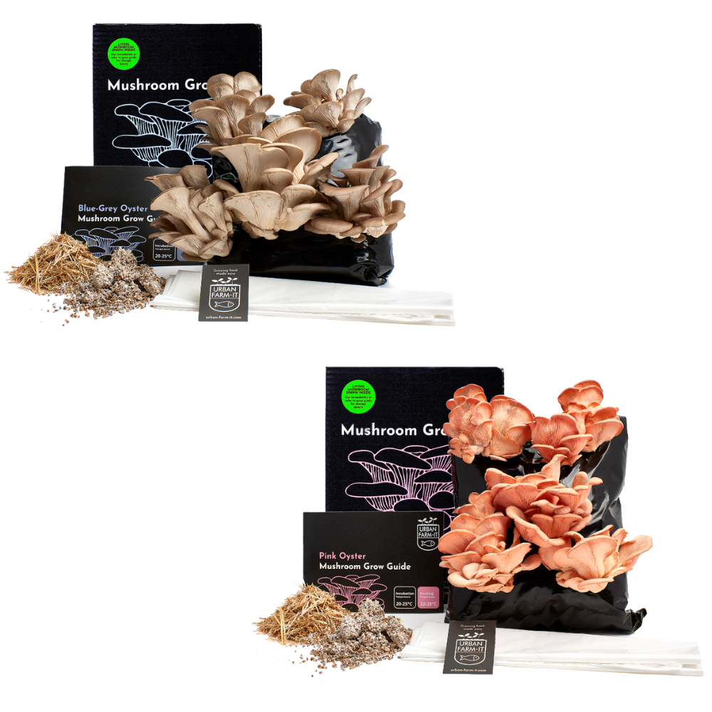 Mushroom Kit Bundle - Choose Any 2 & Save