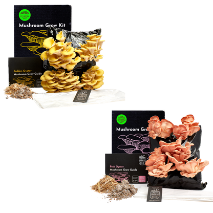 Mushroom Kit Bundle - Choose Any 2 & Save