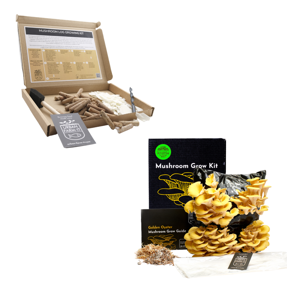 Mushroom Kit Bundle - Choose Any 2 & Save