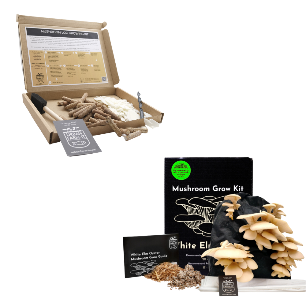 Mushroom Kit Bundle - Choose Any 2 & Save