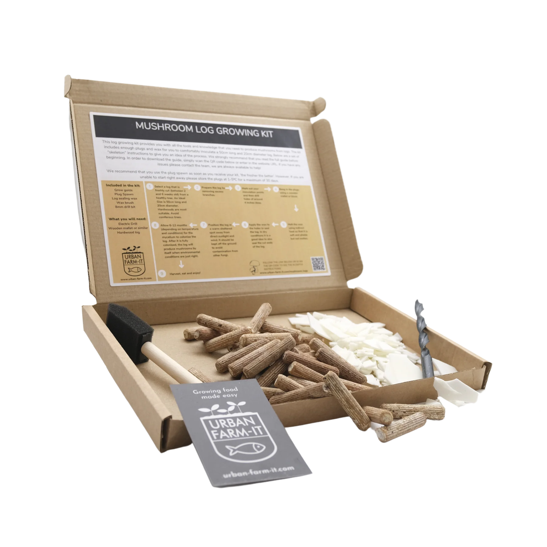 Blue-Grey Oyster Mushroom Log Growing Kit