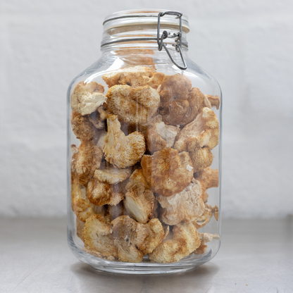 Dried Lion's Mane B2B