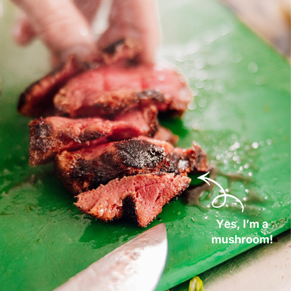 B2B Lion's Mane Steaks