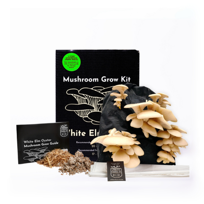 Mushroom Kit Bundle - Choose Any 2 & Save