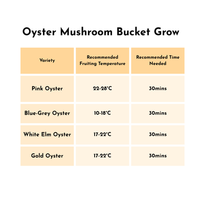 Small Oyster Bucket Bundle