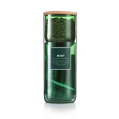 Hydro-Herb Mint Kit