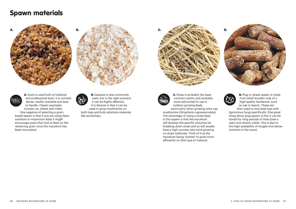 mushroom grow instructions