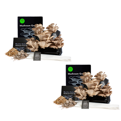 Mushroom Kit Bundle - Choose Any 2 & Save