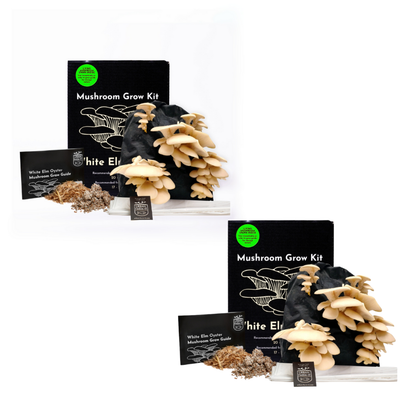 Mushroom Kit Bundle - Choose Any 2 & Save