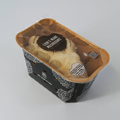 UFI Lion's Mane Punnet