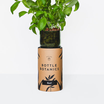 Bottle Botanics