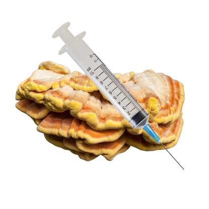 Chicken of the Woods Mushroom Liquid Culture