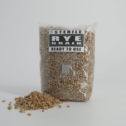 Sterile Rye Grain