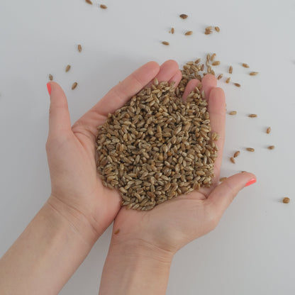 All in One Grow-It Bag