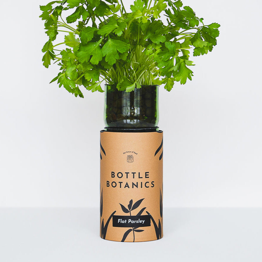 Bottle Botanics - Flat Parsley