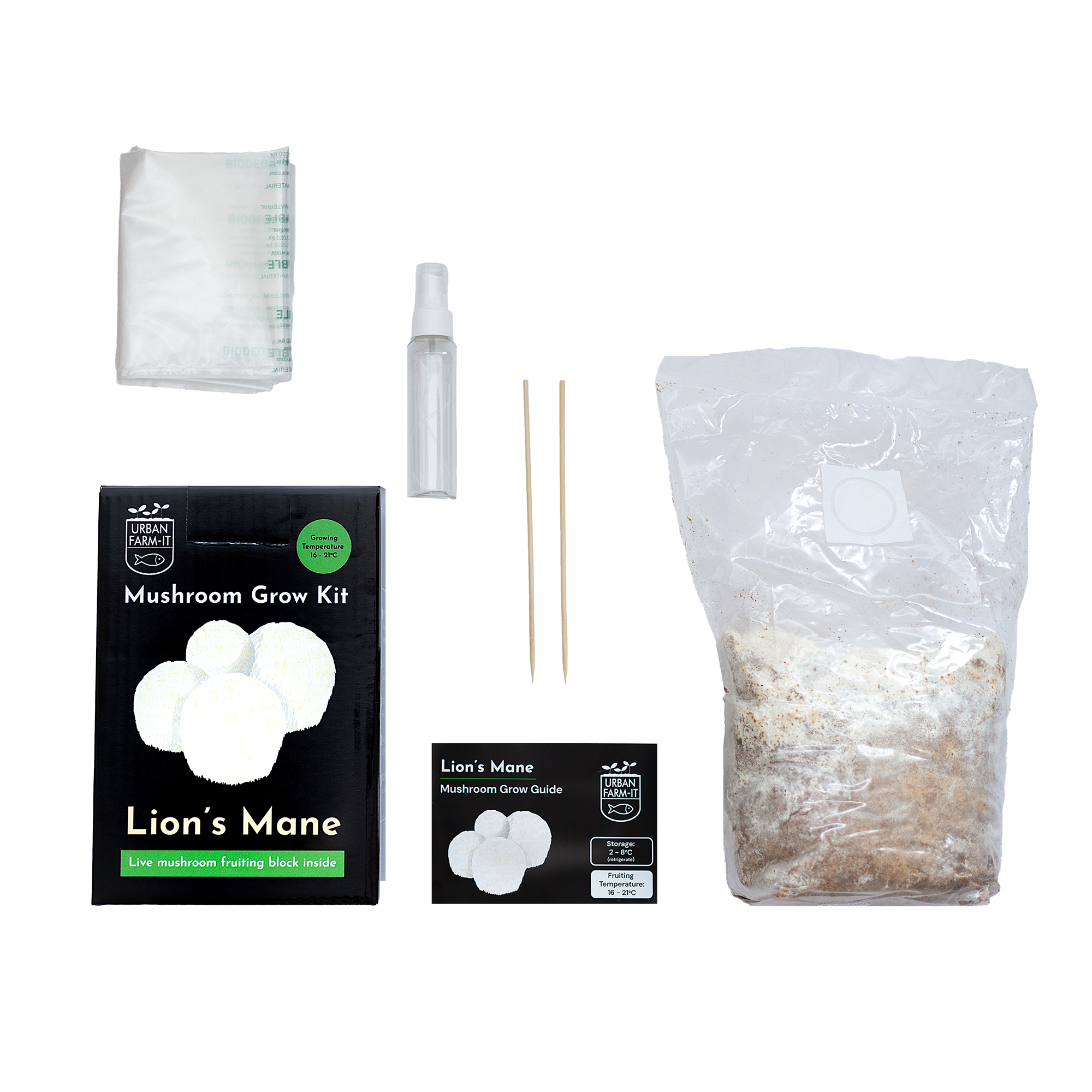 lions mane kit