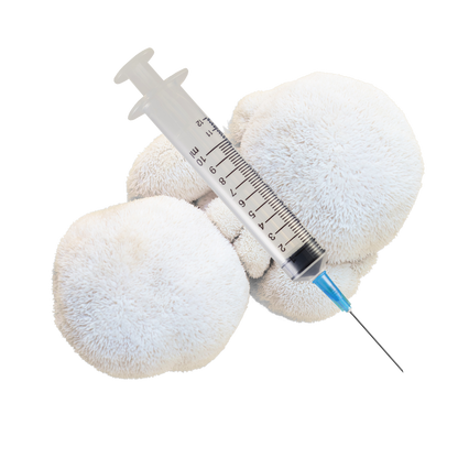 Lion's Mane Mushroom Liquid Culture