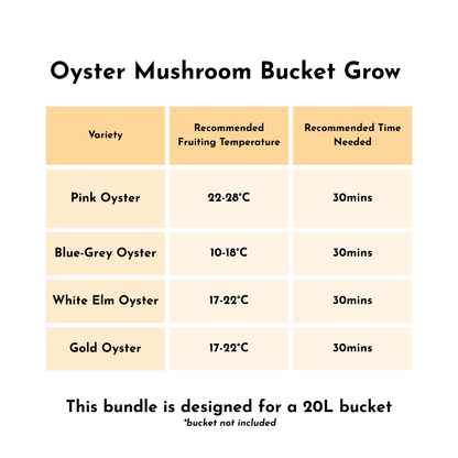 Oyster Bucket Grow Bundle