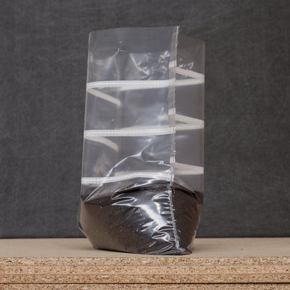 Spawn bags – Without bottom gusset