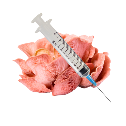 Pink Oyster Mushroom Liquid Culture