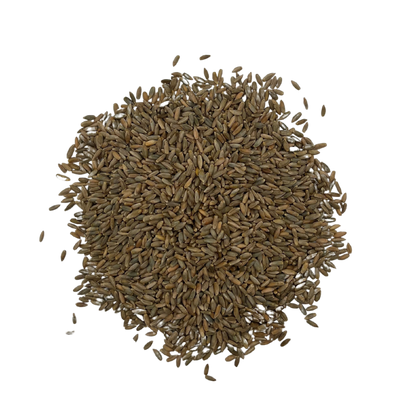 Rye Grain
