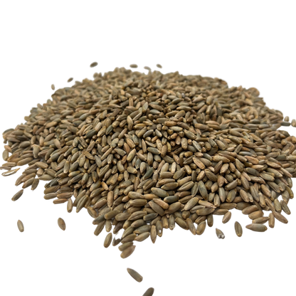Rye Grain