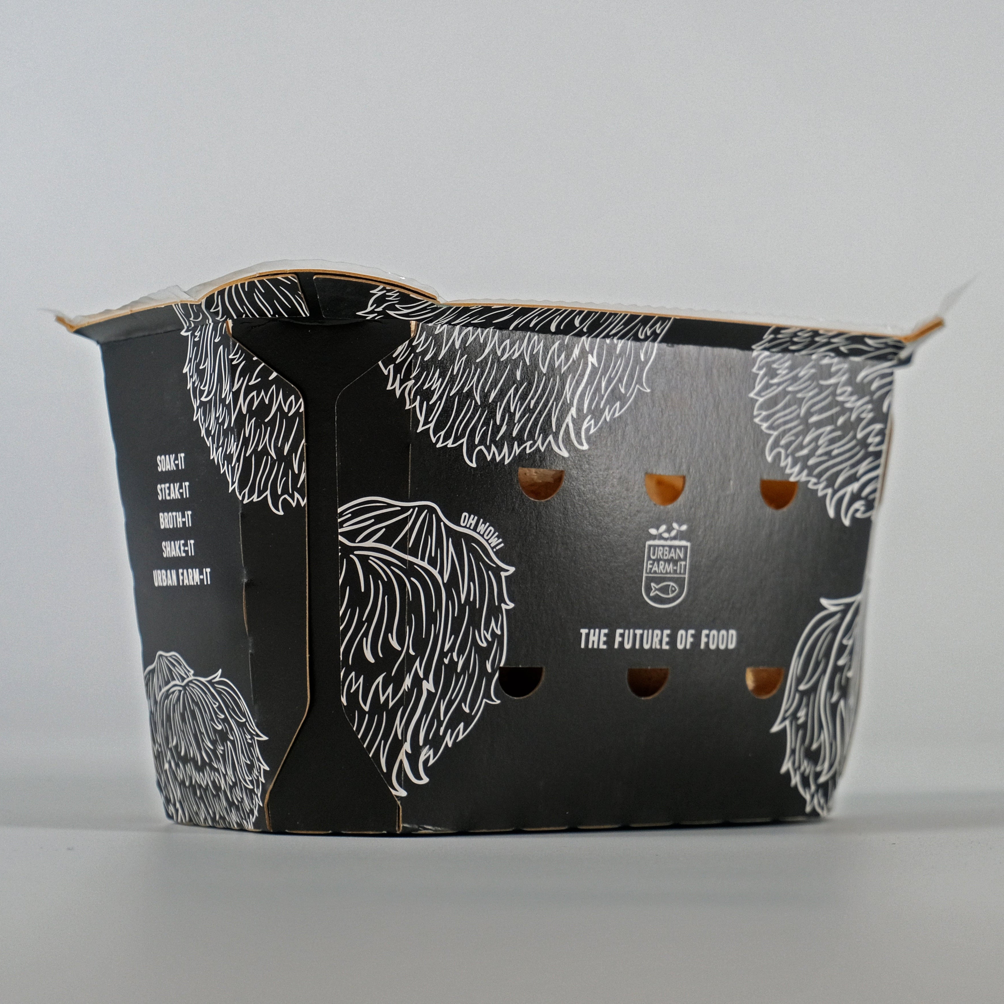 UFI Lion's Mane Punnet